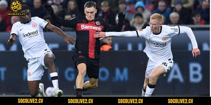 Frankfurt đang có phong độ rất cao và được đánh giá là hiện tượng mới của Bundesliga