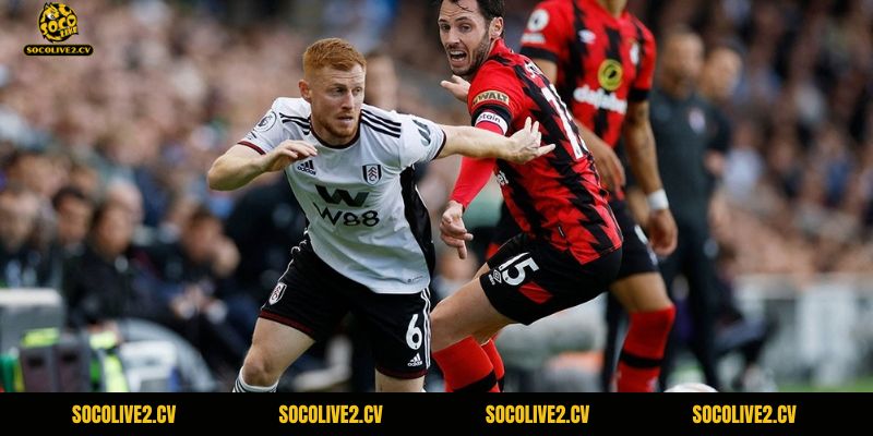 Bournemouth có lợi thế sân nhà và lịch sử đối đầu vượt trội hơn
